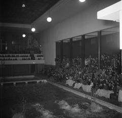 Danish swimming championships at Frederiksberg pool in Copenhagen, March 1954