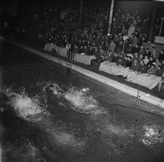 Danish swimming championships in Frederiksberg pool, Copenhagen 1954