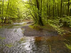 The Dhünn river in the nature reserve Dhünntal and Linnefetal with side valleys