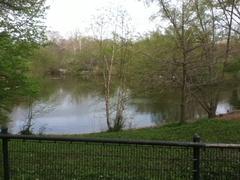 Scenic view of a body of water at St. Louis Zoo