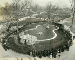 Crowd around seal pond at St. Louis Zoo