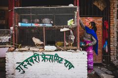 Chickens in a street market near Boudhanath, Kathmandu, Nepal