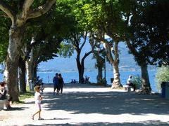 Tree-lined path on Isola Superiore in western region