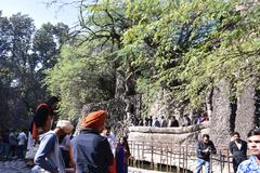 Nek Chand's Rock Garden selfie spot, Chandigarh, November 2017