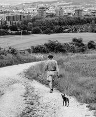 Person and dog descending Olarizu mountain