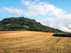 harvested field below Olarizu mountain