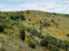 GR 25 hiking trail in Olarizu area with maquis shrubland