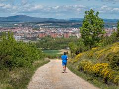 Runner in a vibrant landscape