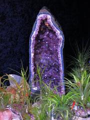 Amethyst crystal close-up