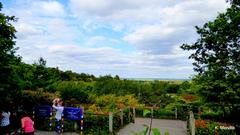 Legoland view from the terrace