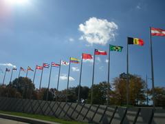 Parades of Flag during a vibrant festival