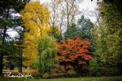 Edwards Gardens in Toronto, Canada with lush greenery and a pathway