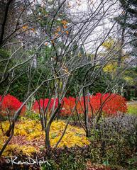 Edwards Gardens in Toronto Canada