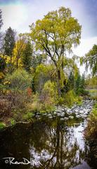 Edwards Gardens in Toronto, Canada