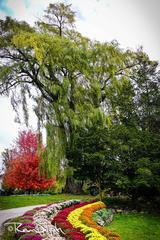 Edwards Gardens walkway, Toronto