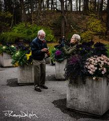 Edwards Gardens in Toronto, Canada