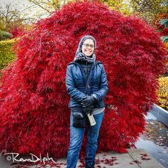 Edwards Gardens, Toronto, Canada