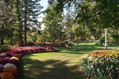 Edward Gardens landscaped greensward