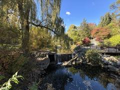 Edward Gardens waterfall in 2023