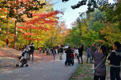 Edwards Gardens fall colors