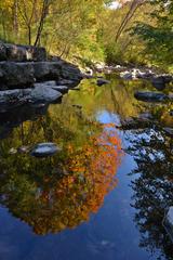 Edwards Gardens Fall Colors during autumn