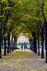 Esplanade des Invalides in Paris