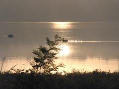 Spectacular sunrise with migratory birds at Madiwala Lake