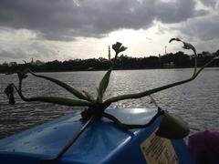 view from a boat in Madivala lake, Madivala, Bangalore