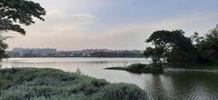 Birds at Madiwala Lake