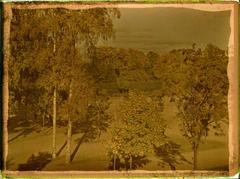 Kaisaniemi Park in autumn 1908