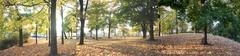 Panoramic view of Kaisaniemi neighborhood in Helsinki