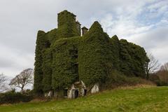 Menlo Castle ruins on the bank of River Corrib