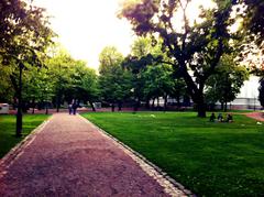 June; Helsinki Park in summer