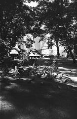 Bird feeders in Old Church Park, negative, film, black and white