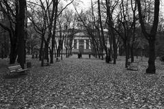 Autumn leaves in Old Church Park with Old Church in the background