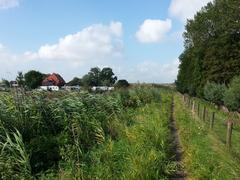 1391 Abcoude, Netherlands panoramic view