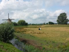 1391 Abcoude Netherlands landscape