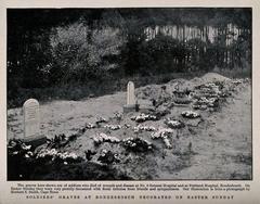 Boer War soldiers' graves decorated with floral tributes for Easter