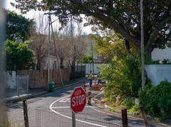 road works in Rondebosch, Cape Town