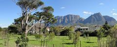 Keurboom Park in Rondebosch