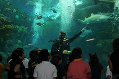 Florida Aquarium diver demonstrating Boyle’s Law and Archimedes’ Principle