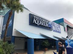 Tampa aquarium underwater scene with various fish and coral