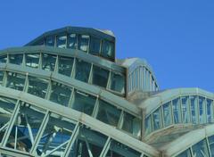 Florida Aquarium in Downtown Tampa