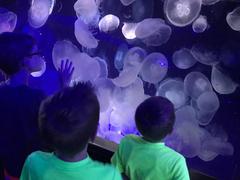 children participating in an education program at the Florida Aquarium