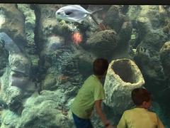 Florida Aquarium Education Program for Kids