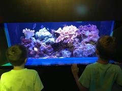 Florida Aquarium Education Program for Kids