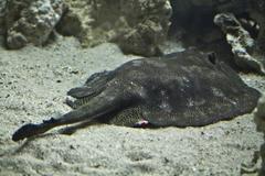 John and Olivia Carkeet visiting the Florida Aquarium in Tampa