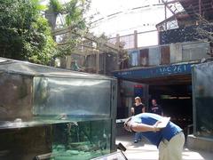 Inside the atrium of the Florida Aquarium