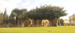 Abdeen Palace Garden Egypt