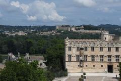 View from Tour l'Audience ou de la Gâche at Palais des Papes in Avignon